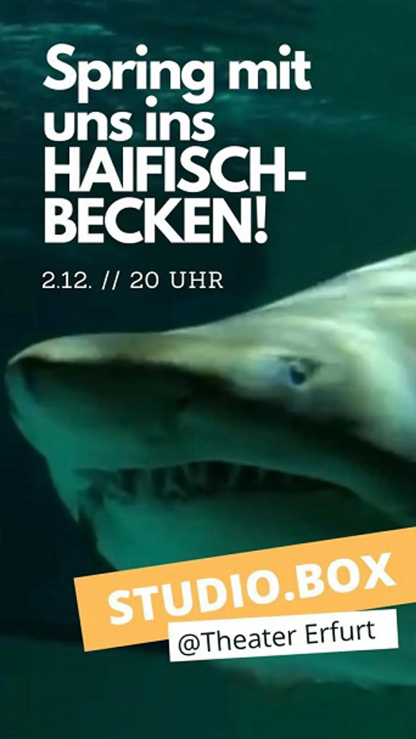 Haifischbecken, eine Satireshow